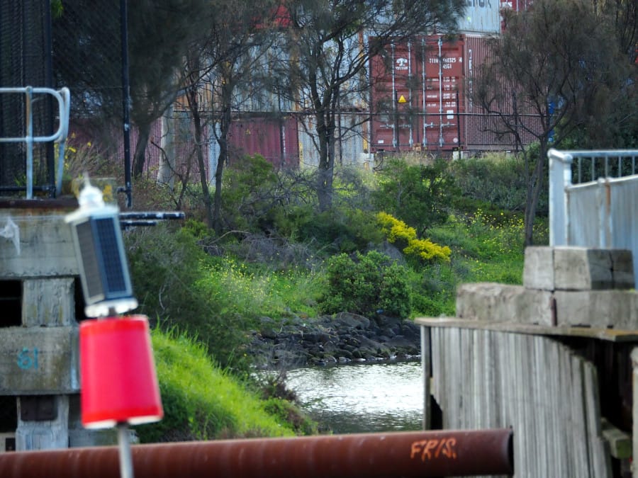 A glimpse of water surrounded by vegetation, concrete boardwalk and shipping containers.