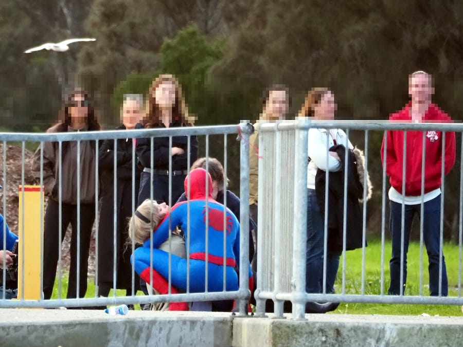 Spider-Man sighted in swamp